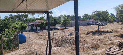 Quinta de 16660 m2 moradias t3 e t2 e 1 pavilhão 487 m2