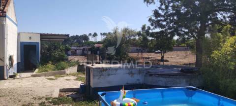 Quinta de 16660 m2 moradias t3 e t2 e 1 pavilhão 487 m2