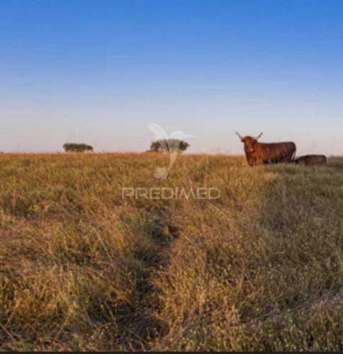 Casa remodelada na mina da juliana, beja