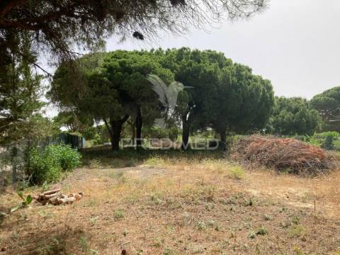 Almancil -terreno plano rustico perto de vale do lobo