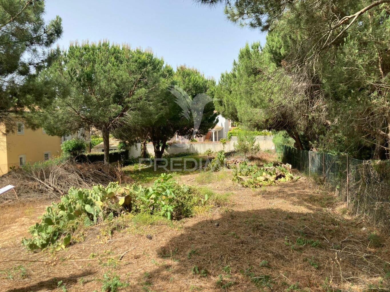 Almancil -terreno plano rustico perto de vale do lobo