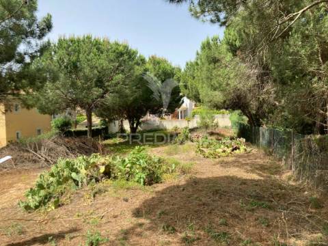 Almancil -terreno plano rustico perto de vale do lobo