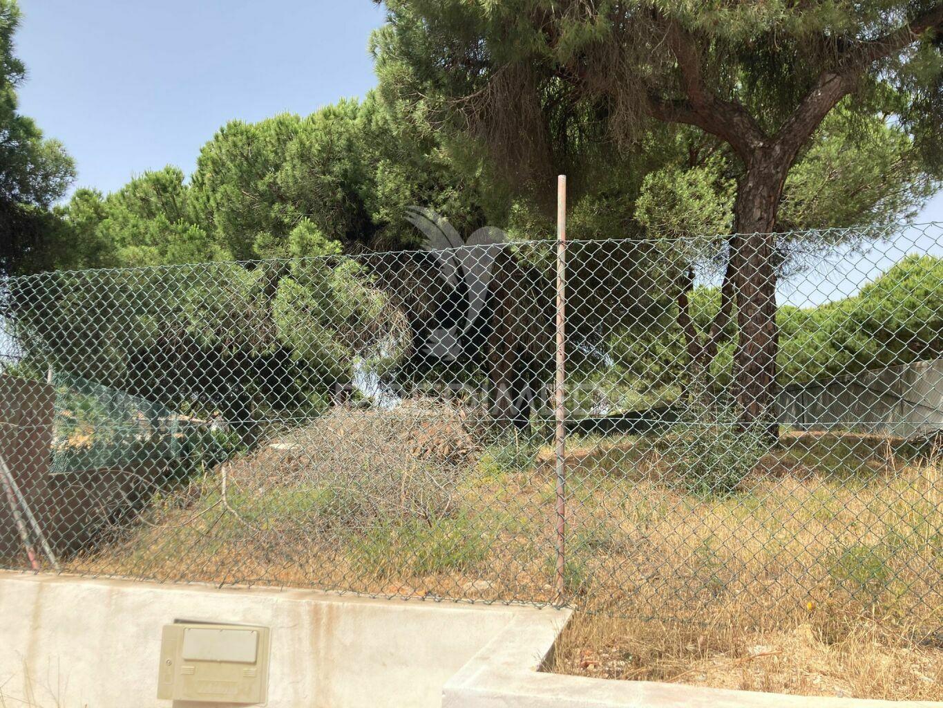 Almancil -terreno plano rustico perto de vale do lobo