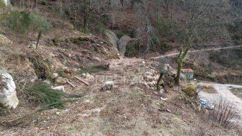 Terreno em vilar de veiga –  junto ao parque nacional da peneda-gerês