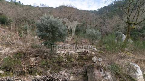 Terreno em vilar de veiga –  junto ao parque nacional da peneda-gerês