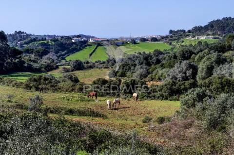 Moradia t7 com vista mar | lote de 787 m² | montesouros – mafra/ericeira