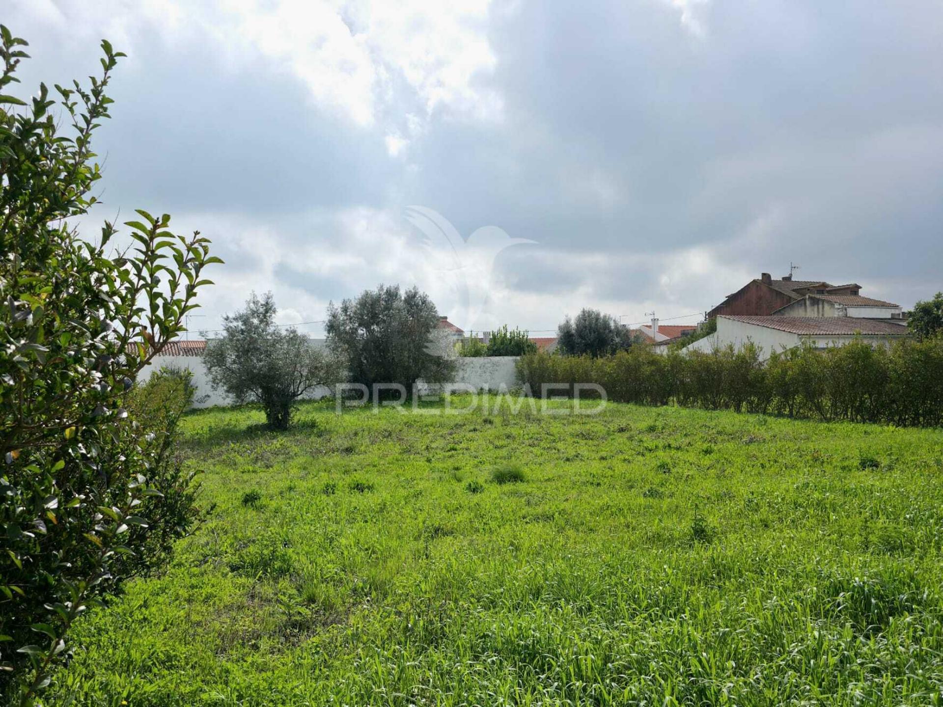 Lote de terreno urbano com 710m²