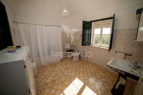 Quinta com 1,25ha e moradia t5 – ideal turismo rural perto de alqueva