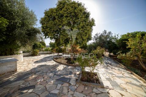 Quinta com 1,25ha e moradia t5 – ideal turismo rural perto de alqueva