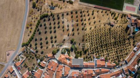 Quinta com 1,25ha e moradia t5 – ideal turismo rural perto de alqueva