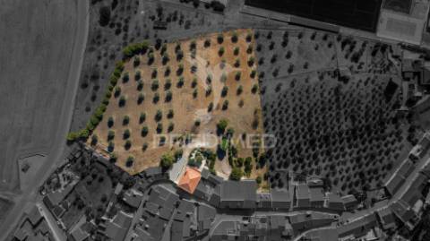 Quinta com 1,25ha e moradia t5 – ideal turismo rural perto de alqueva