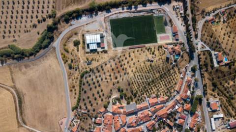 Quinta com 1,25ha e moradia t5 – ideal turismo rural perto de alqueva