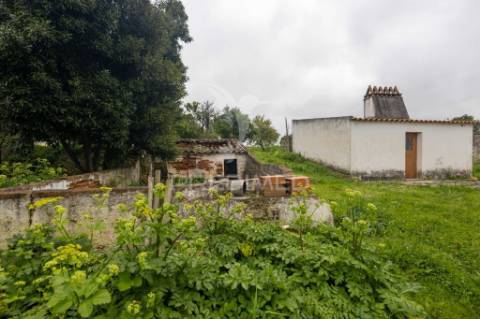 Moradia típica alentejana t2 + t2 com pomar no centro do alandroal com 2.659 m2