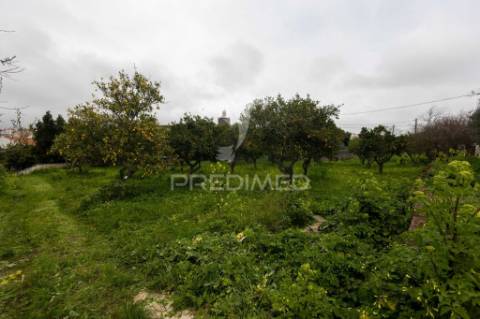 Moradia típica alentejana t2 + t2 com pomar no centro do alandroal com 2.659 m2