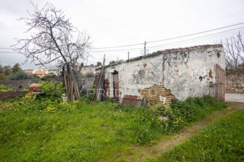 Moradia típica alentejana t2 + t2 com pomar no centro do alandroal com 2.659 m2