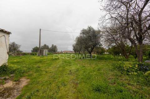 Moradia típica alentejana t2 + t2 com pomar no centro do alandroal com 2.659 m2