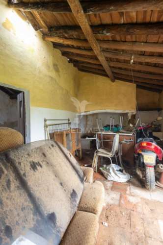 Moradia típica alentejana t2 + t2 com pomar no centro do alandroal com 2.659 m2