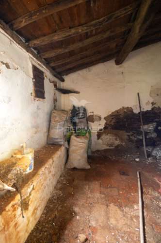 Moradia típica alentejana t2 + t2 com pomar no centro do alandroal com 2.659 m2