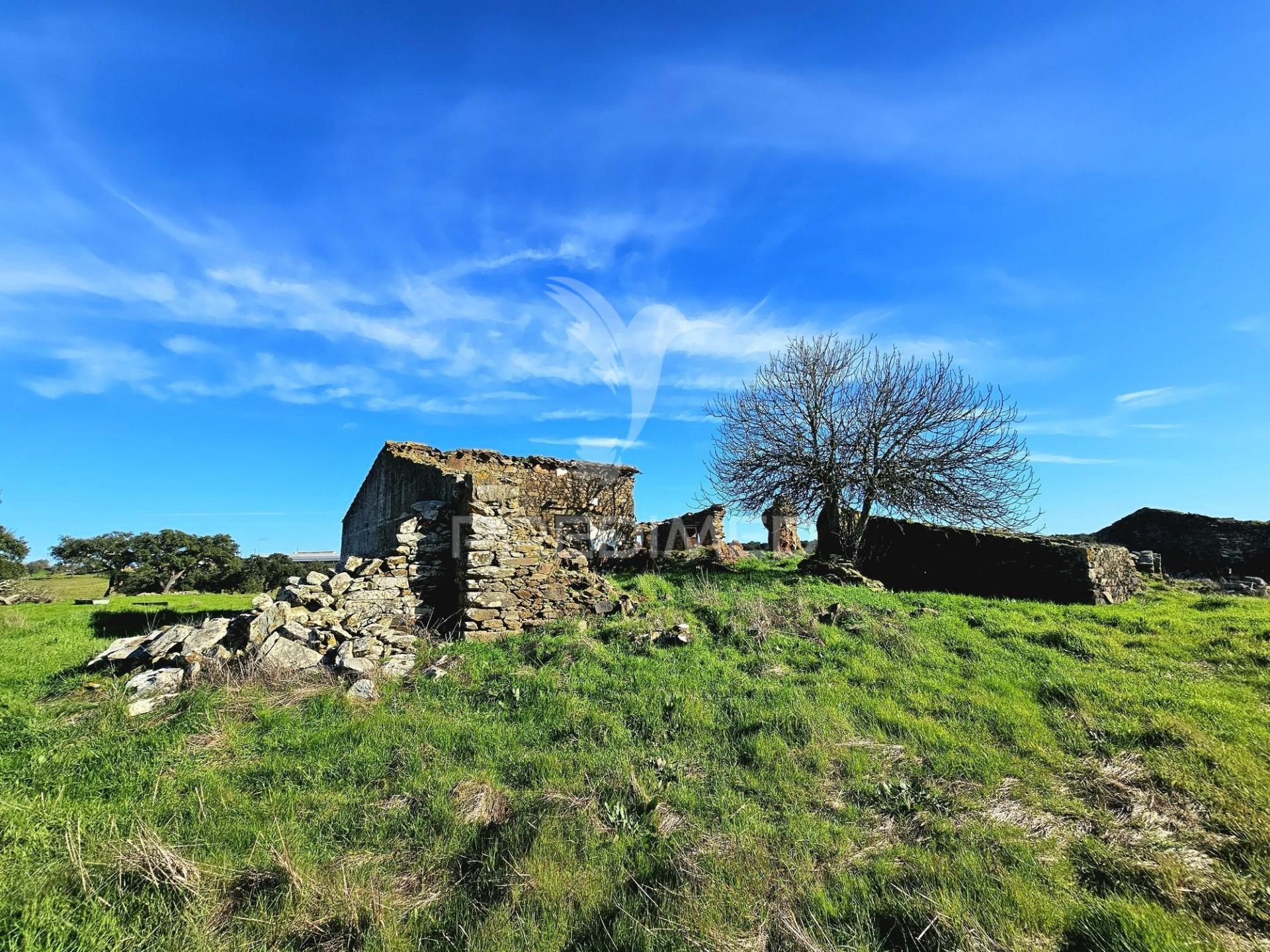 Terreno com 4,3 ha e ruínas no concelho de ourique