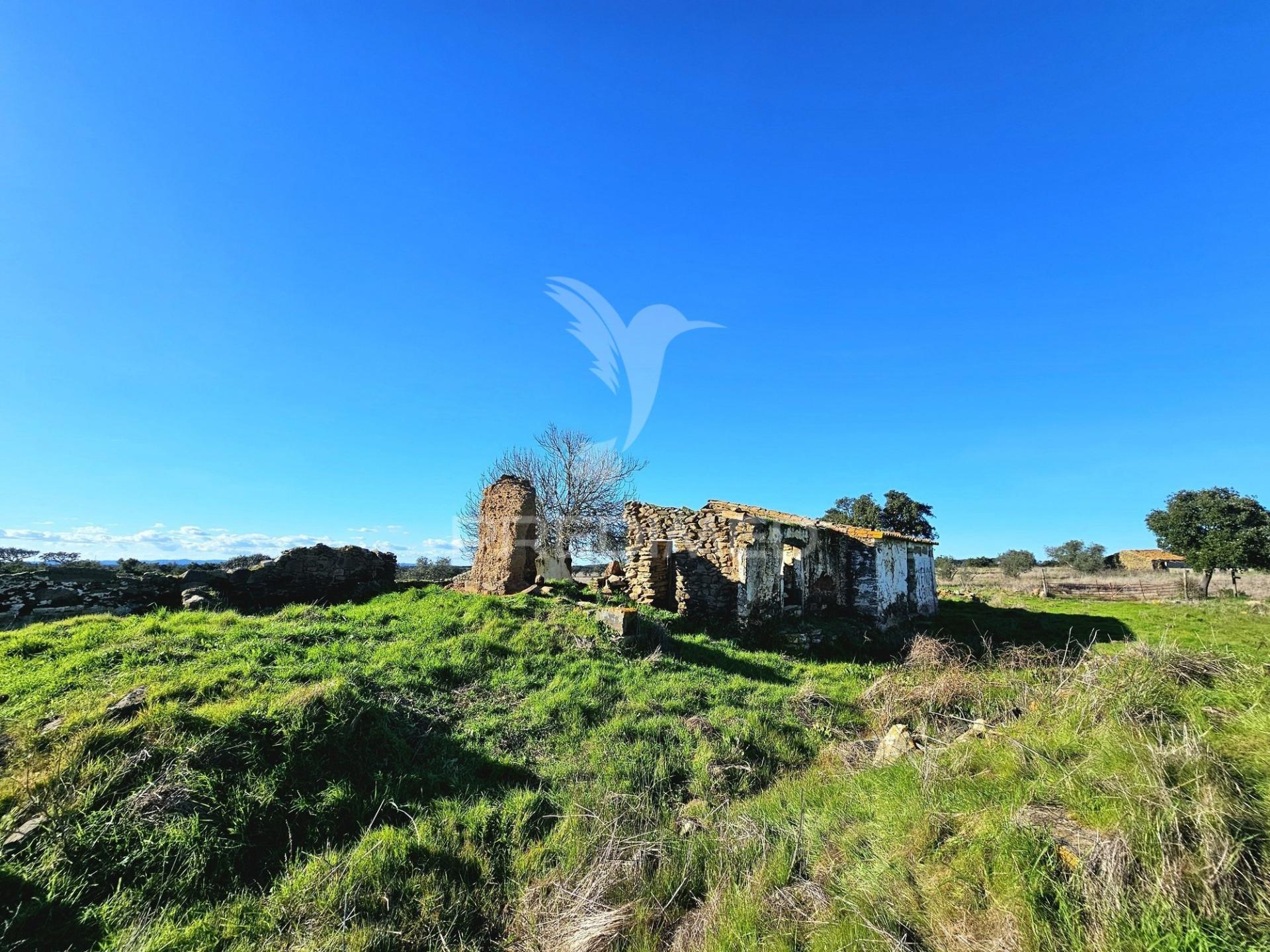 Terreno com 4,3 ha e ruínas no concelho de ourique