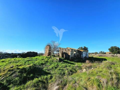 Terreno com 4,3 ha e ruínas no concelho de ourique