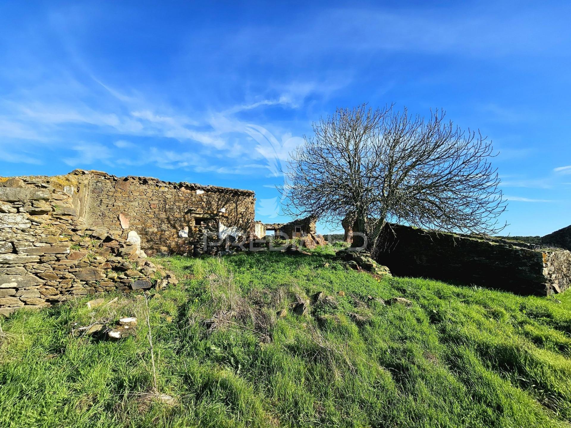 Terreno com 4,3 ha e ruínas no concelho de ourique
