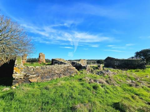Terreno com 4,3 ha e ruínas no concelho de ourique