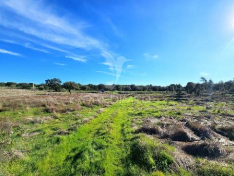Terreno com 4,3 ha e ruínas no concelho de ourique
