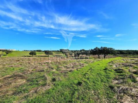 Terreno com 4,3 ha e ruínas no concelho de ourique