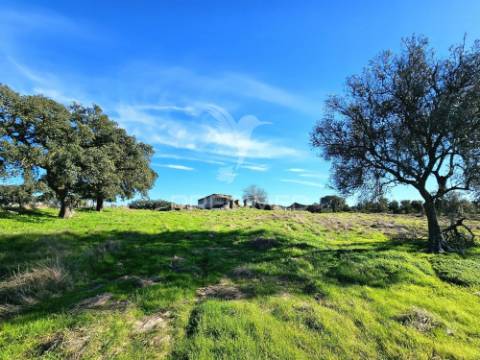 Terreno com 4,3 ha e ruínas no concelho de ourique