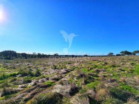 Terreno com 4,3 ha e ruínas no concelho de ourique