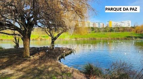 T1 totalmente remodelado centro do feijó