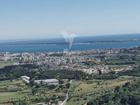 Quinta de prestígio em setúbal – exclusividade, natureza e sofisticação