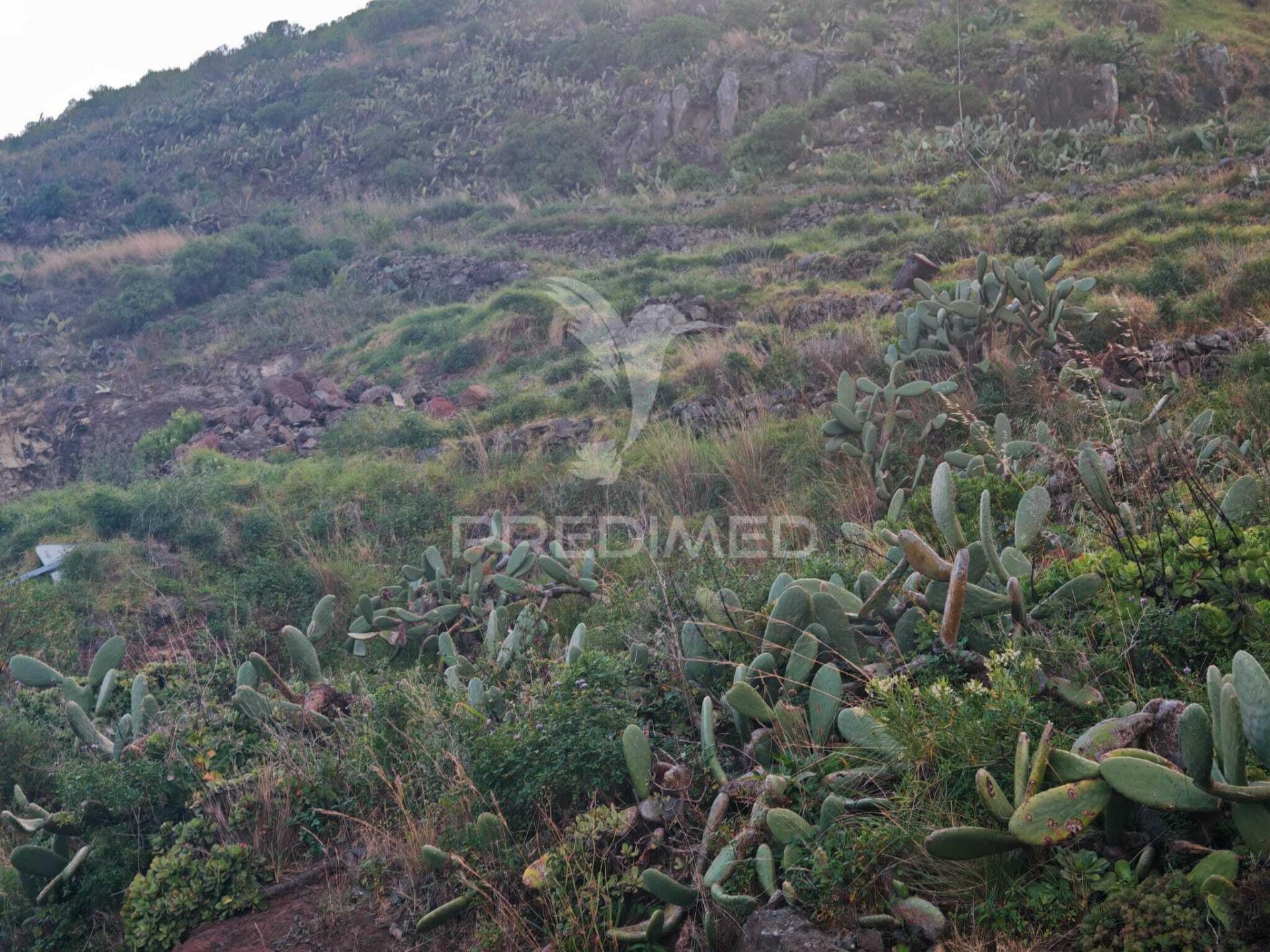 Terreno 5.286 m² no caniçal | vista | excelente oportunidade