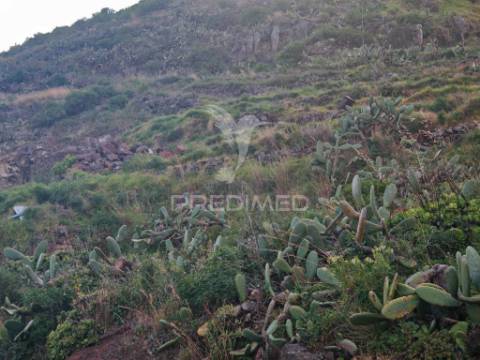 Terreno 5.286 m² no caniçal | vista | excelente oportunidade