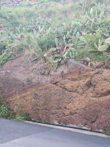 Terreno 5.286 m² no caniçal | vista | excelente oportunidade