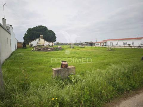Terreno urbano em marinhais