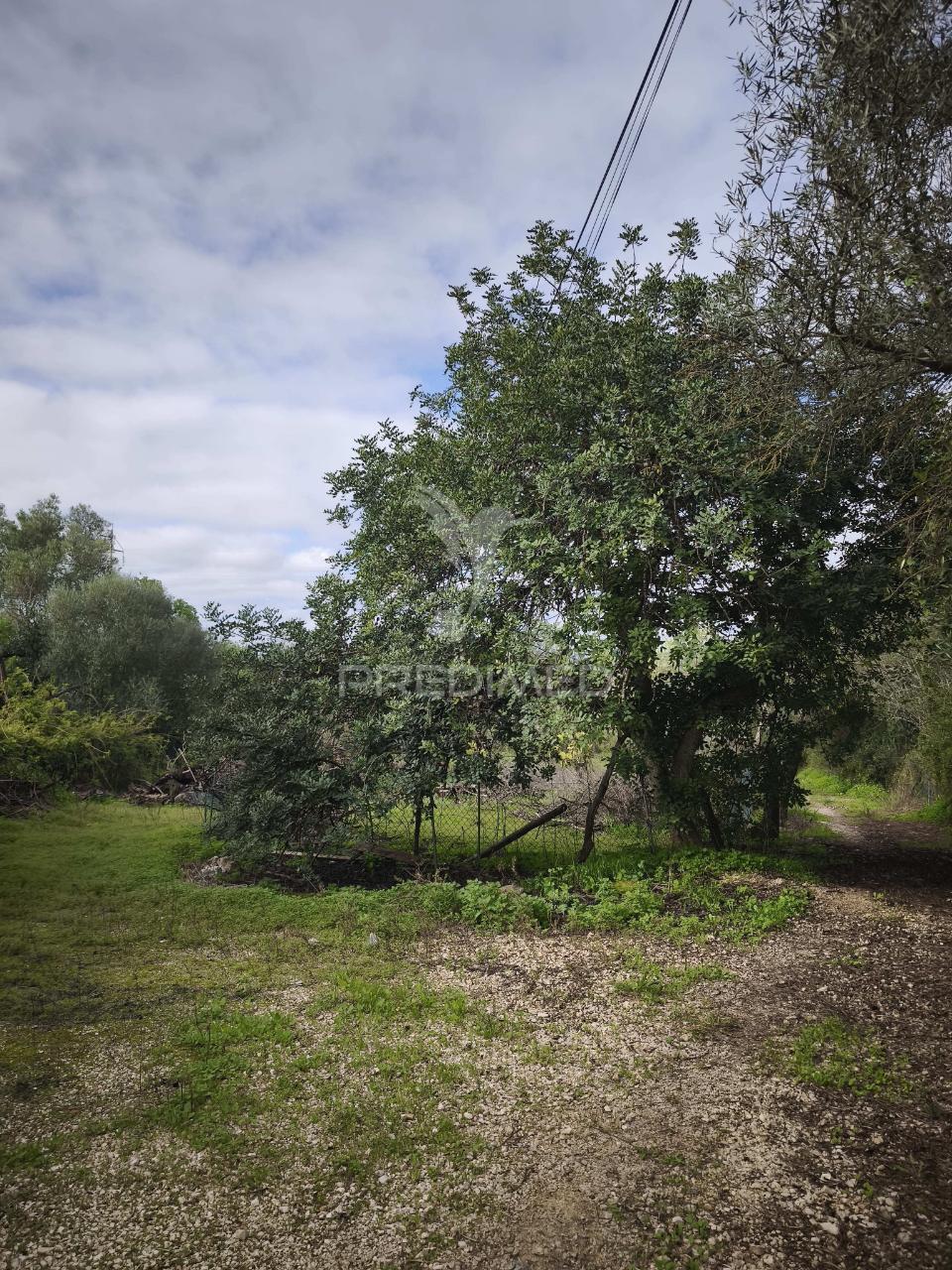 Paderne - terreno rústico com parcela urbana