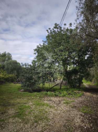 Paderne - terreno rústico com parcela urbana