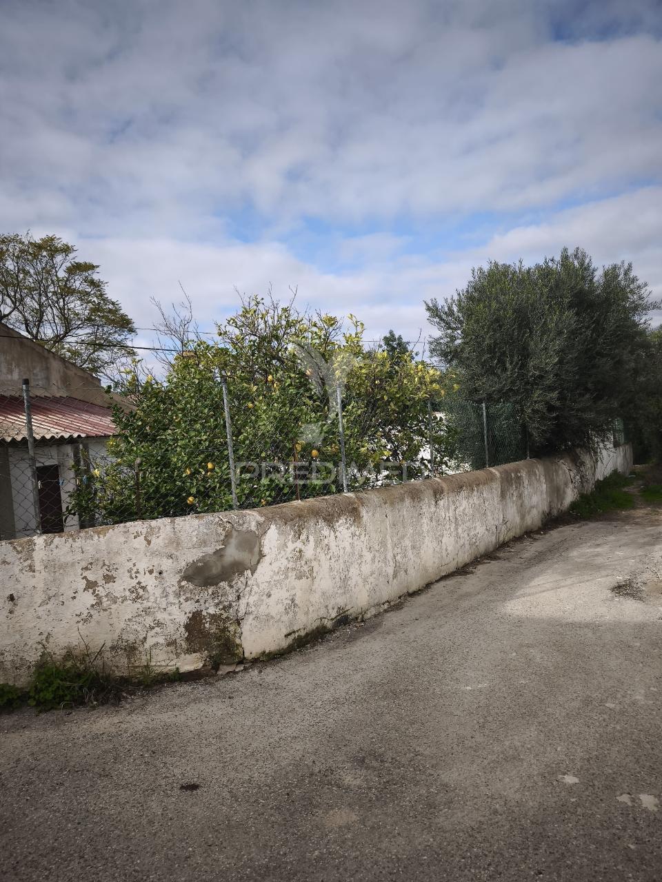 Paderne - terreno rústico com parcela urbana