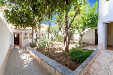 ✨ moradia t3 com quintal em vila viçosa – bencatel ✨