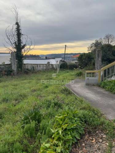 A quintinha mais bonita de antime