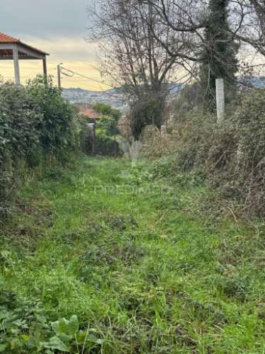 A quintinha mais bonita de antime