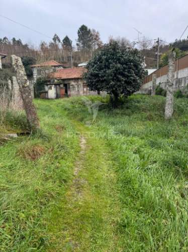 A quintinha mais bonita de antime