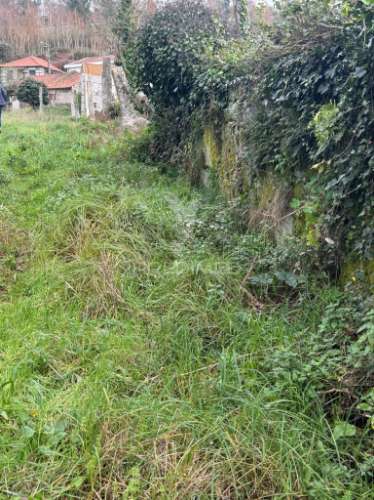 A quintinha mais bonita de antime