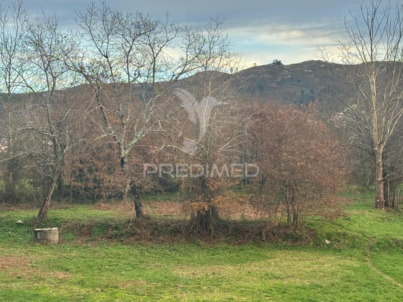 Terreno para construção/agrícola em antime