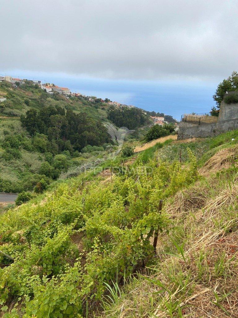 Moradia e palheiro em pedra com 2.770m2 de terreno no arco da calheta