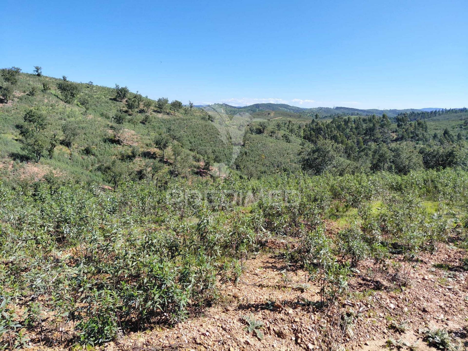 Terreno rústico ,sabóia,odemira.