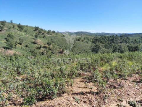Terreno rústico ,sabóia,odemira.