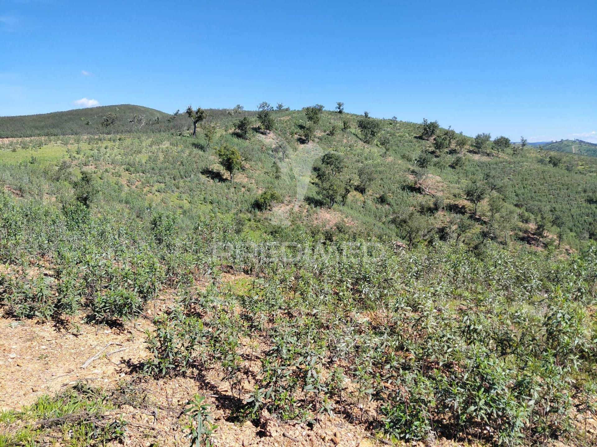 Terreno rústico ,sabóia,odemira.